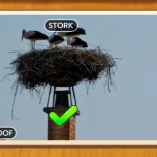 1 Pic N Words Level 487 Answers