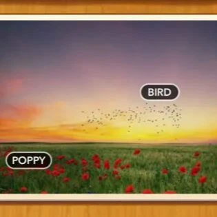 1 Pic N Words Level 489 Answers