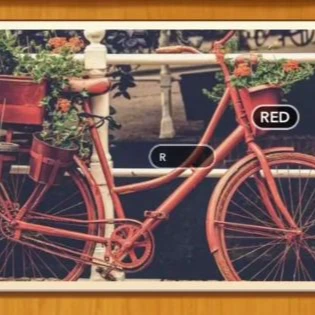 1 Pic N Words Level 496 Answers