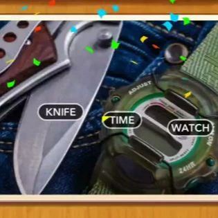 1 Pic N Words Level 498 Answers