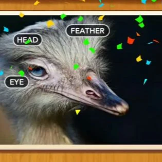 1 Pic N Words Level 499 Answers