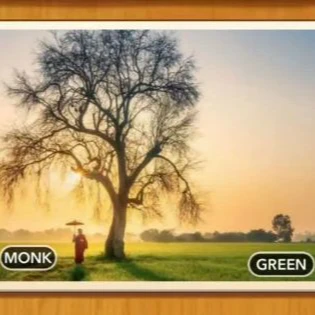 1 Pic N Words Level 502 Answers