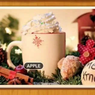 1 Pic N Words Level 504 Answers