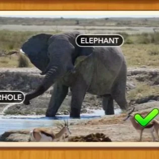 1 Pic N Words Level 506 Answers