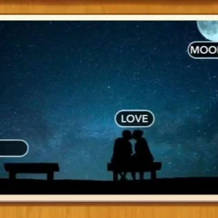 1 Pic N Words Level 509 Answers