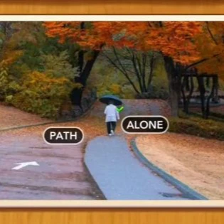 1 Pic N Words Level 513 Answers