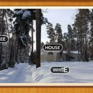 1 Pic N Words Level 515 Answers