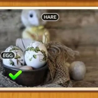 1 Pic N Words Level 516 Answers