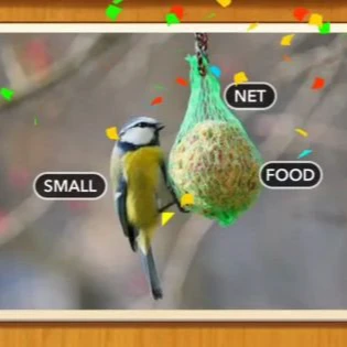 1 Pic N Words Level 519 Answers