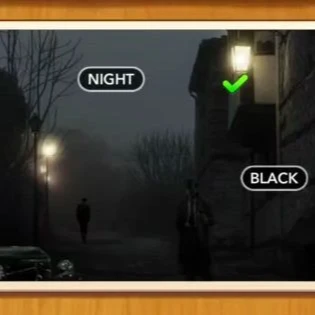 1 Pic N Words Level 525 Answers