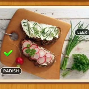 1 Pic N Words Level 527 Answers