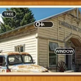 1 Pic N Words Level 528 Answers