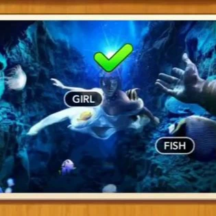 1 Pic N Words Level 532 Answers