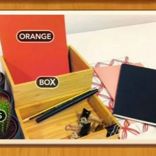 1 Pic N Words Level 540 Answers