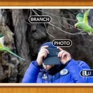 1 Pic N Words Level 550 Answers