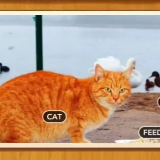 1 Pic N Words Level 551 Answers