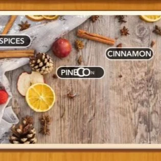 1 Pic N Words Level 553 Answers