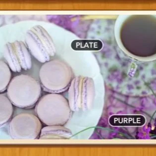 1 Pic N Words Level 555 Answers