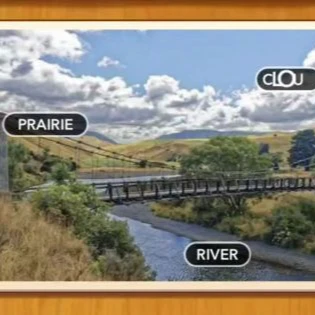 1 Pic N Words Level 559 Answers