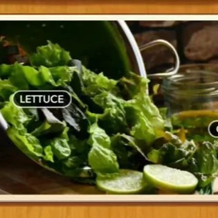 1 Pic N Words Level 564 Answers