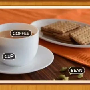 1 Pic N Words Level 568 Answers