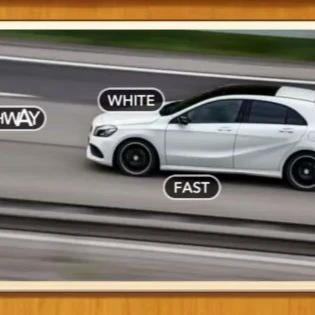 1 Pic N Words Level 580 Answers