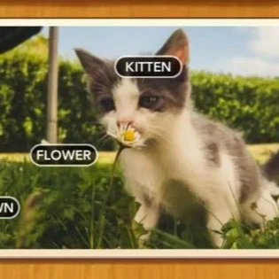 1 Pic N Words Level 583 Answers