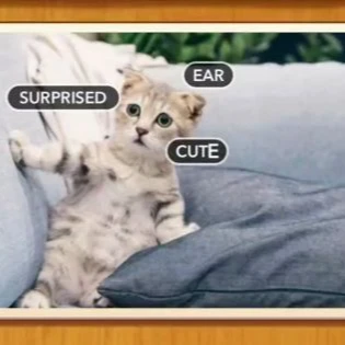 1 Pic N Words Level 586 Answers