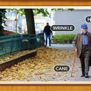 1 Pic N Words Level 61 Answers