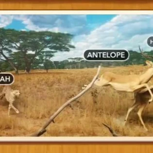 1 Pic N Words Level 67 Answers