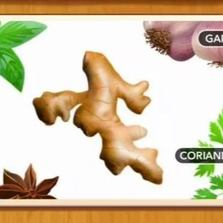 1 Pic N Words Level 78 Answers