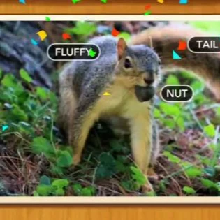 1 Pic N Words Level 97 Answers