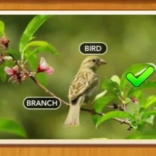 1 Pic N Words Level 99 Answers