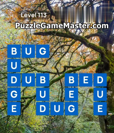 Word Scenery Level 113