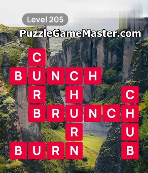 Word Scenery Level 205
