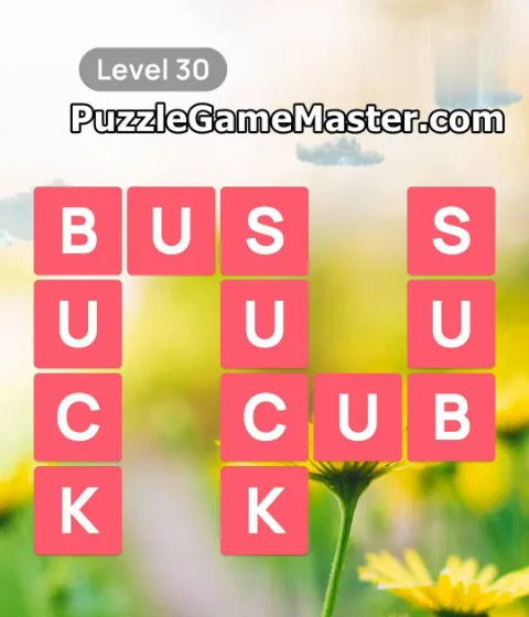 Word Scenery Level 30