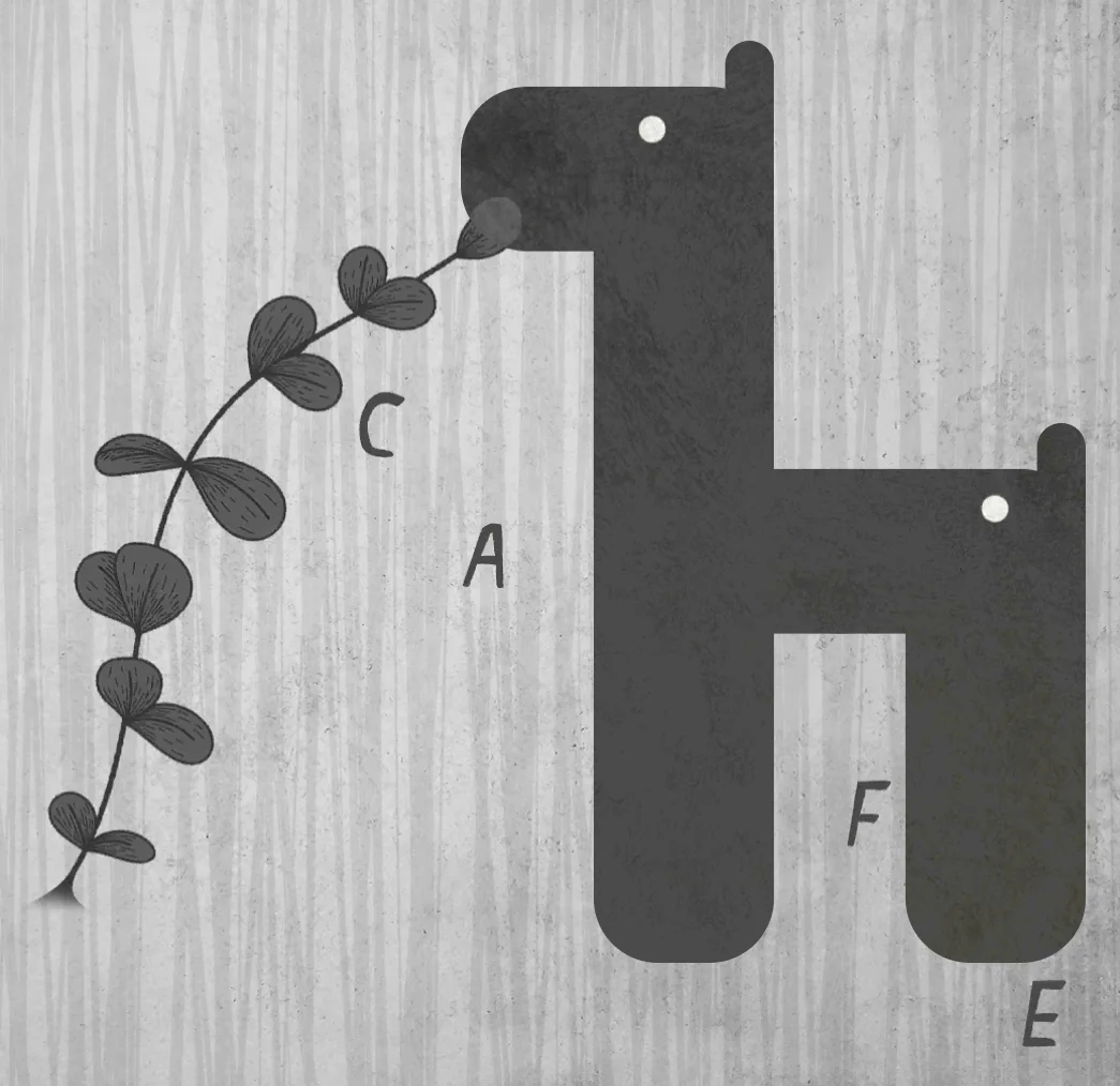 Forest Puzzle Dream Escape Level 12 hint