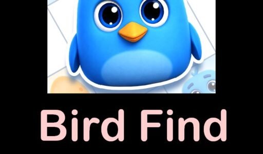 Bird Find Answers & Solution Guide [All 500+ Levels]