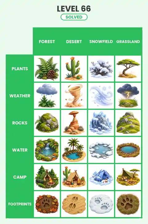 Categoro Level 66 answer solved grid