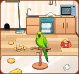 Brain Puzzle 3 Level 44