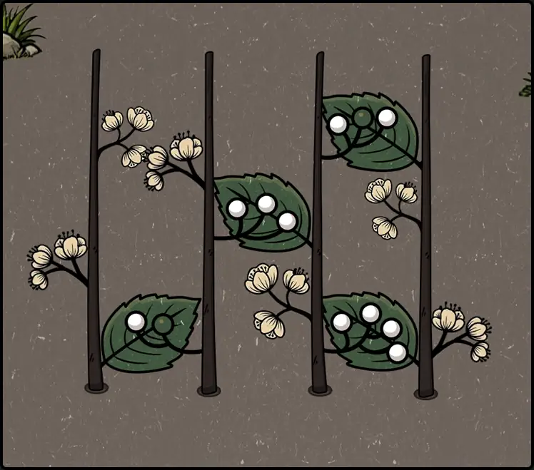 Flower Forest Level 50 hint