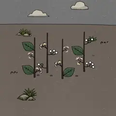Flower Forest Level 50