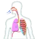 شهيق