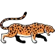 جاغوار