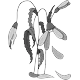 يابس
