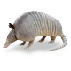 مدرع