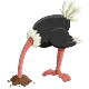 خوف