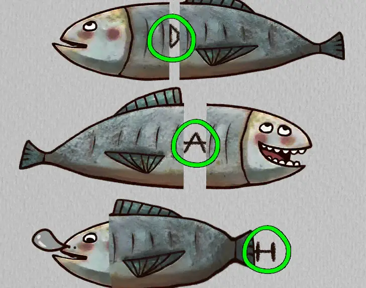 The Lost Forest Puzzle Level 11 hint 2