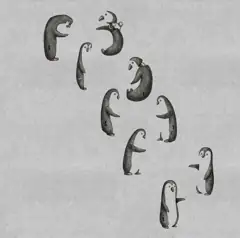 The Lost Forest Puzzle Level 12