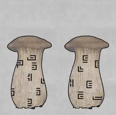 The Lost Forest Puzzle Level 154
